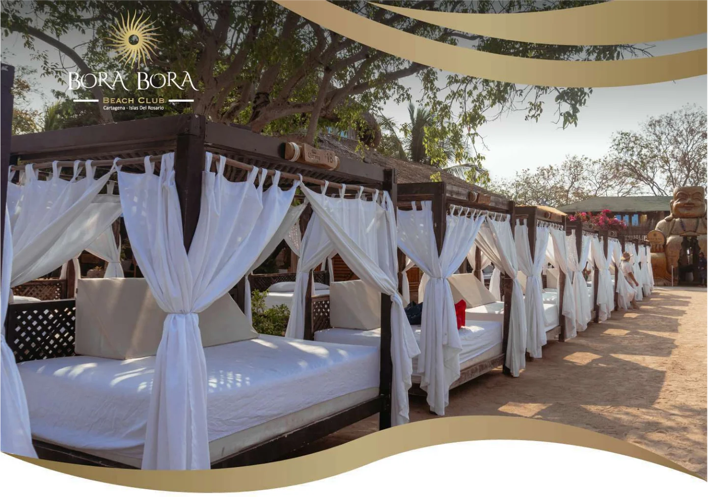 cama estandar area club b